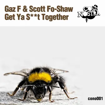 Get Ya Shit Together by Scott Foshaw