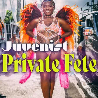 Private Fete by Juvenist