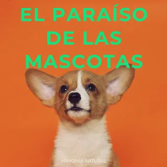 El Paraíso De Las Mascotas: Armonía Natural by Escucha fácil del domingo