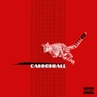 Cannonball by Mean Joe Scheme