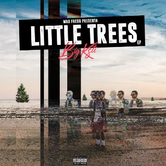 Little Trees by Big Ksti