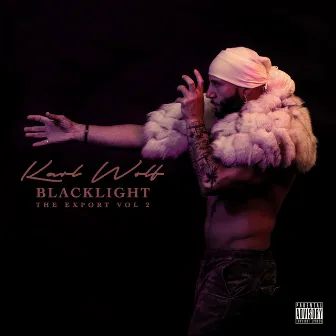 Blacklight: Export Vol. 2 by Karl Wolf