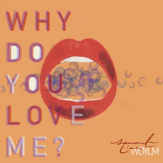 Why Do You Love Me? by Samanta Liza