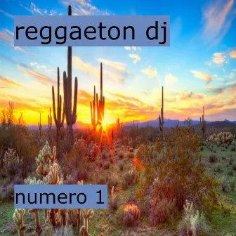 Número 1 by Reggaeton DJ