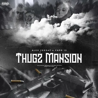 Thugz Mansion by Alex Ceesay