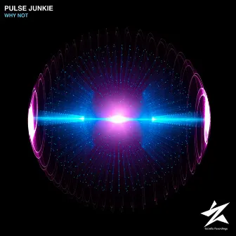 Why Not by Pulse Junkie