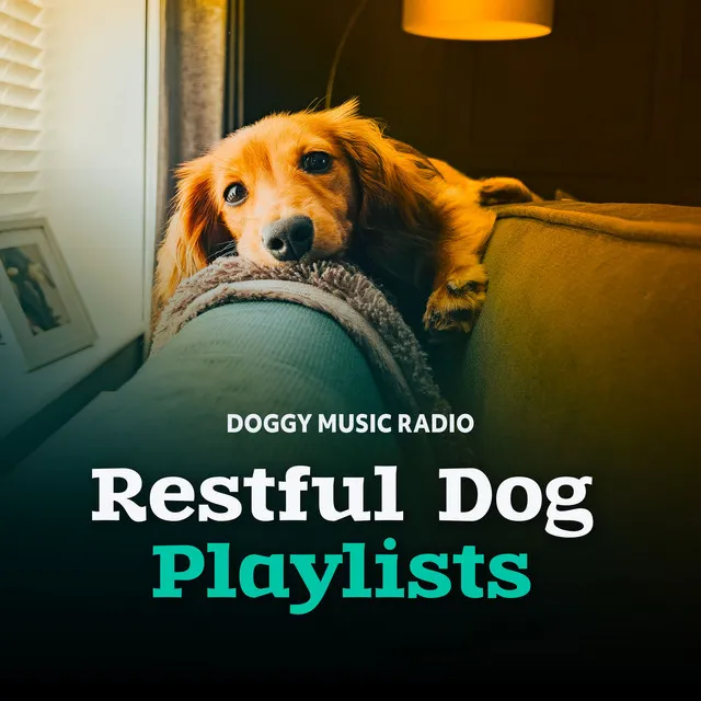 Doggy Music Radio