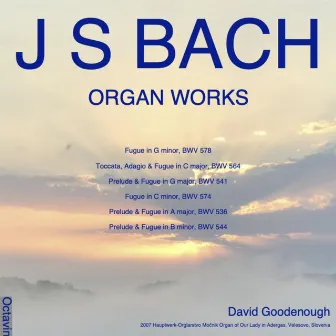 J.S. Bach Organ Works by David Goodenough