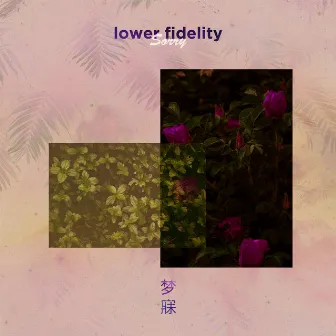 Sorry by lower fidelity