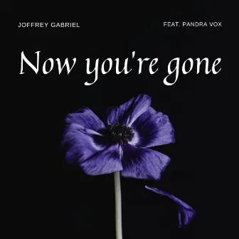 Now You're Gone by Joffrey Gabriel