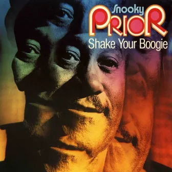 Shake Your Boogie by Snooky Pryor