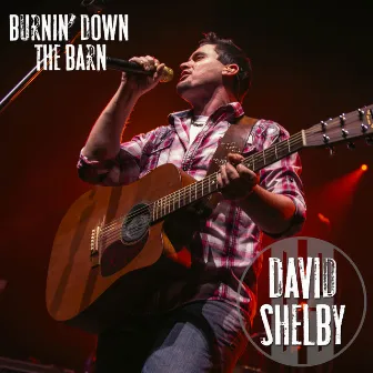 Burning Down the Barn (Remix) by David Shelby