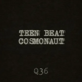 Teen Beat Cosmonaut by The Rentals