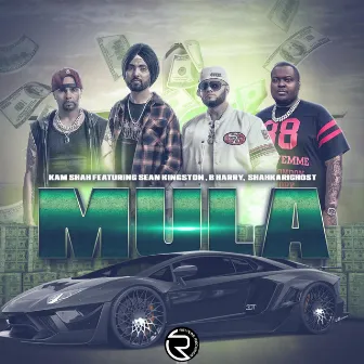 Mula by B Harry