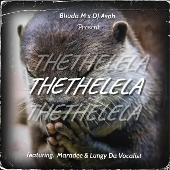 Thethelela by Bhuda M