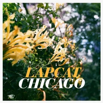 Chicago by Lapcat