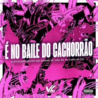 É no Baile do Cachorrão by MC Vilão DS