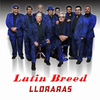 Lloraras by Latin Breed