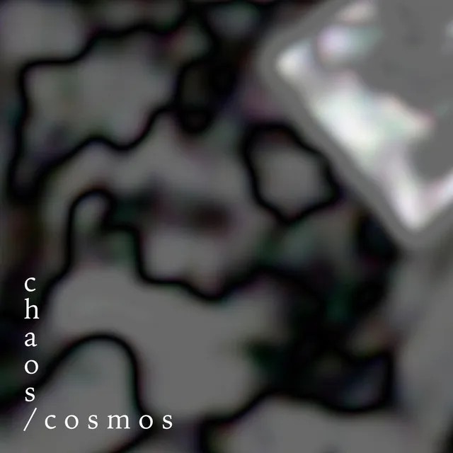 Chaos / Cosmos