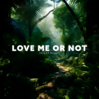 Love Me Or Not by Ocean Roses