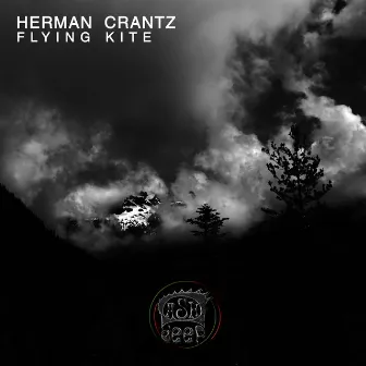 Flying Kite by Herman Crantz