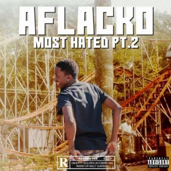 Most Hated, Pt. 2 by Aflacko