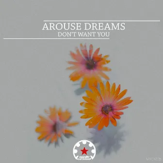 Don't Want You by Arouse Dreams