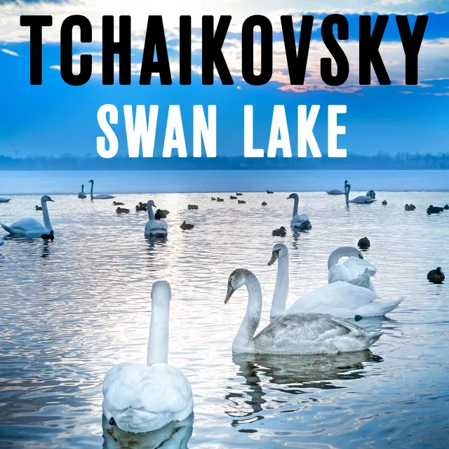 Swan Lake, Op. 20: No. 13, Danse des cygnes: II. Moderato assai