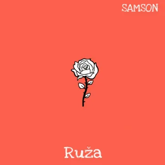 Ruža by SAMSON