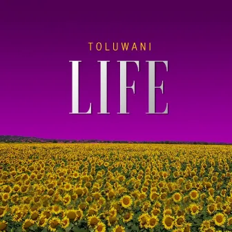 Life by Toluwani