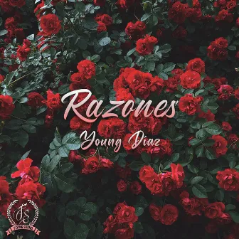 Razones by Young Díaz