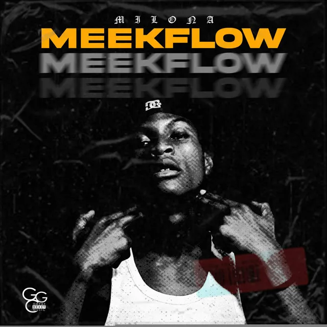 Meek Flow