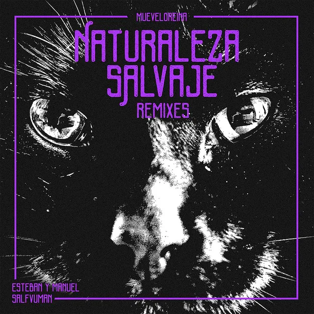 Naturaleza Salvaje - Medianoche & Fertita Remix