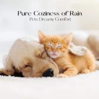 Pure Coziness of Rain: Pets Dreamy Comfort by Relaxing Pet Music