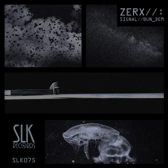 Signal / Bun Dem by Zerx