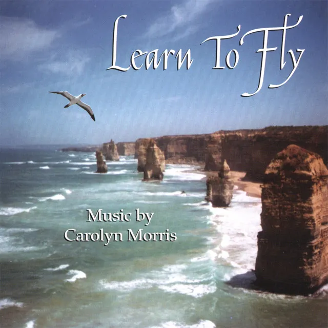 Learn to Fly