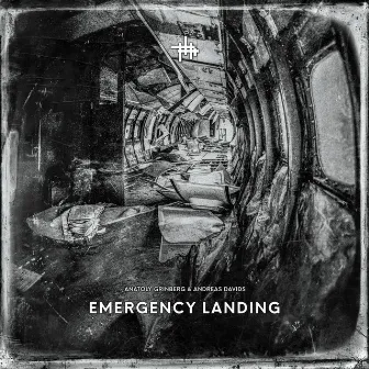 Emergency Landing by Anatoly Grinberg