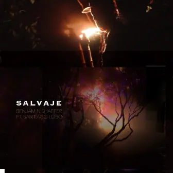 Salvaje by Benjamin Shaffer