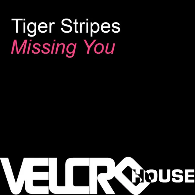 Missing You - Playmaker's Supreme Club Mix