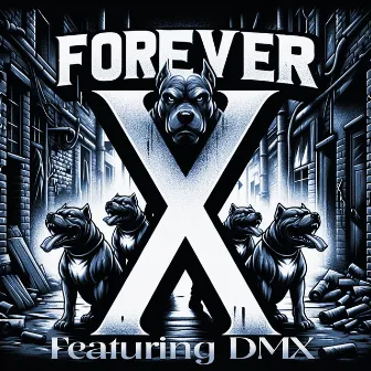 Forever X by Djaytiger