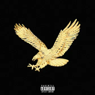 Eagle Remixes by Danny Dorito