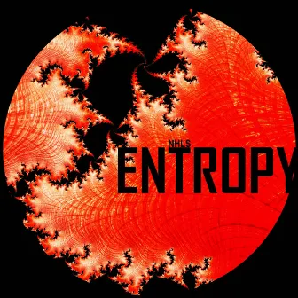 Entropy by NHLS