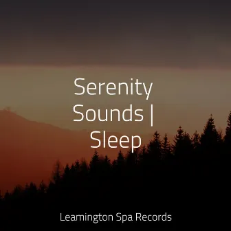 Serenity Sounds | Sleep by Rain Sounds Rain