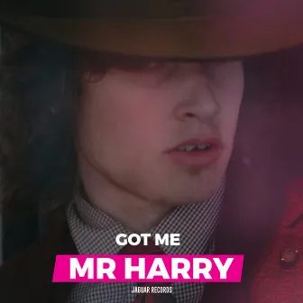 Got Me by Mr Harry