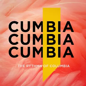 Cumbia: The Rhythm of Columbia by Unknown Artist