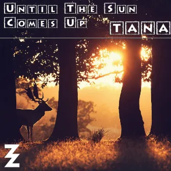 Until the Sun Comes Up by Dj Producer TANA