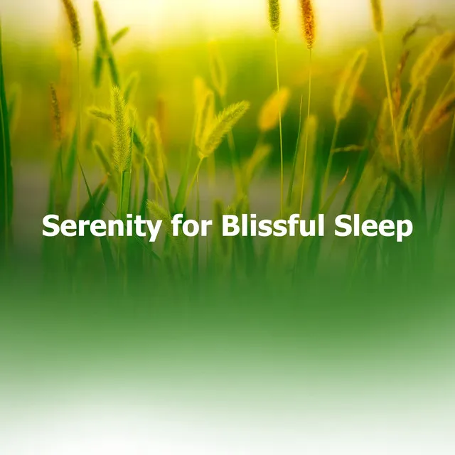 Serenity for Blissful Sleep