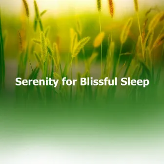 Serenity for Blissful Sleep by Natural Dream Makers