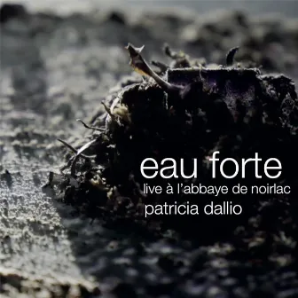 Eau forte (Live à l'Abbaye de Noirlac) by Patricia Dallio