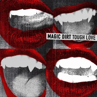 Tough Love (Std Edition) by Magic Dirt